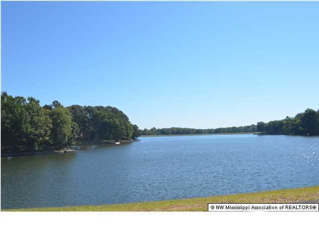 4735 Star Landing Road Nesbit, MS 38651 - Photo 21 of 23 Additional Photo