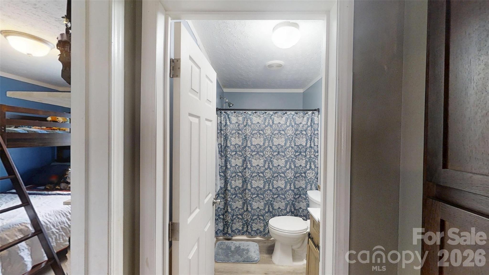 81 Pine Mount Road Weaverville, NC 28787 - Photo 45 of 47