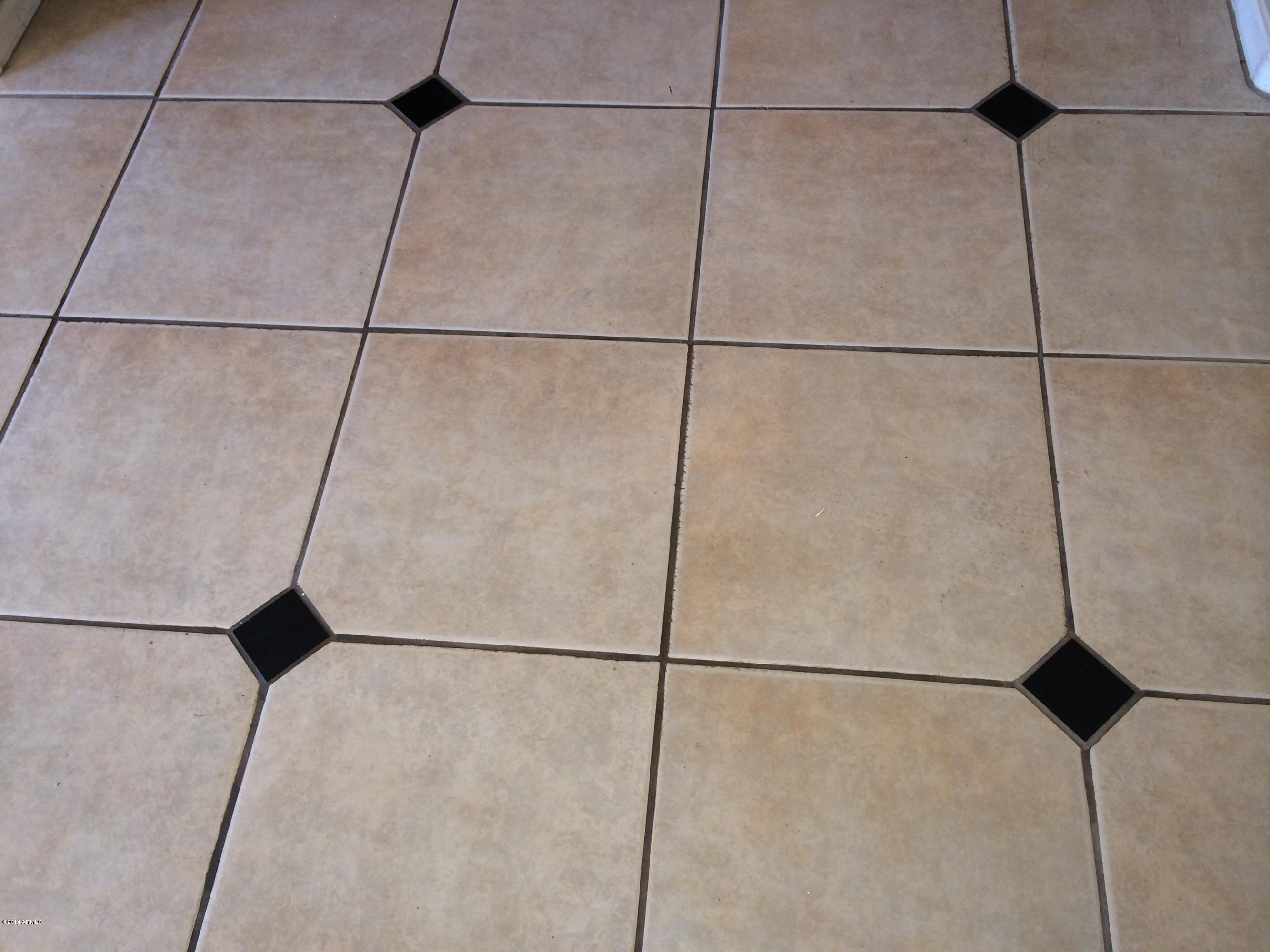 9721 South Reidar Road Laveen, AZ 85339 - Photo 9 of 37 Nice tile floor
