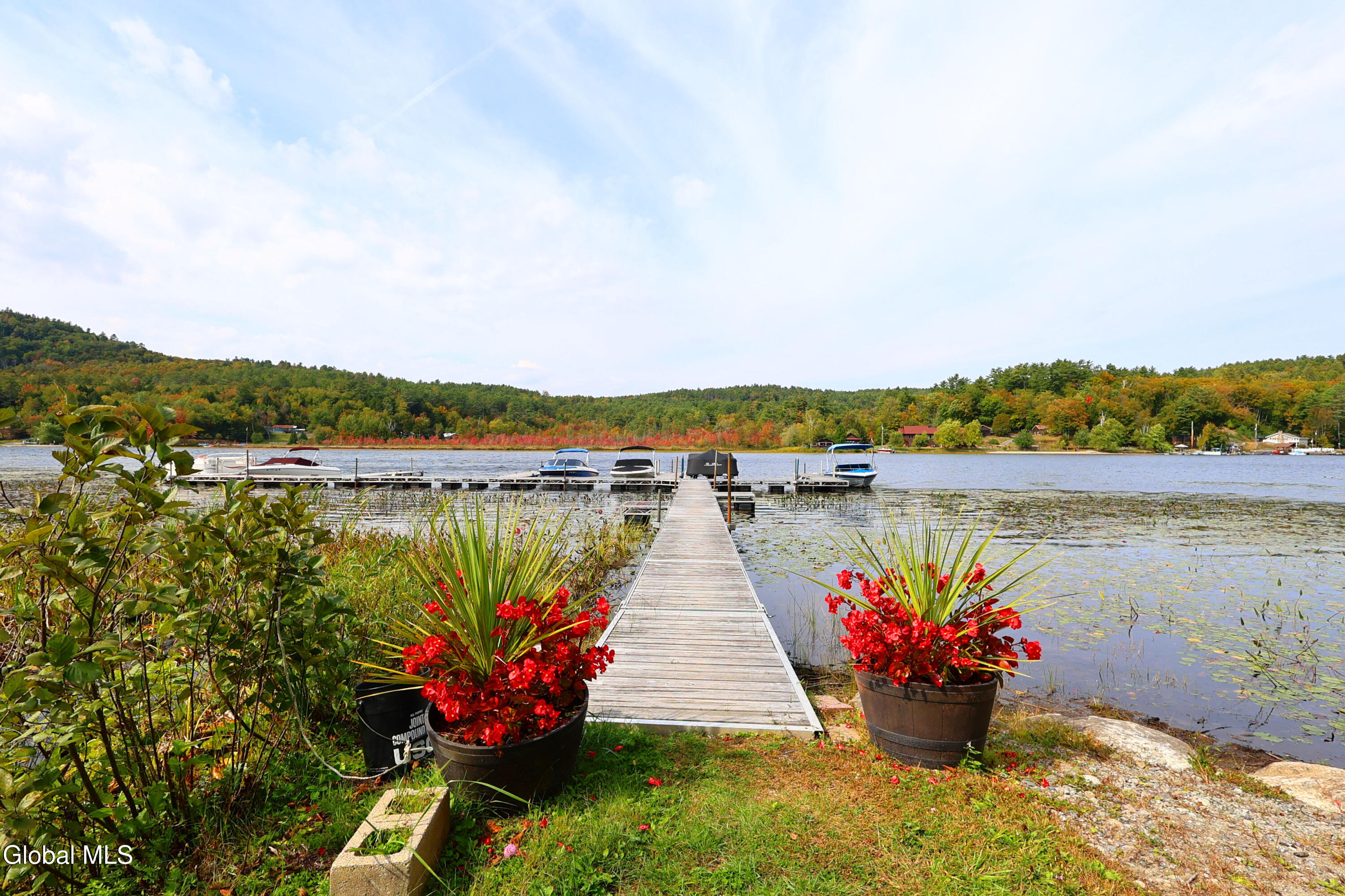 44 Brant Lake Estates Road Horicon, NY 12815 - Photo 5 of 47 54Dockwithflowers