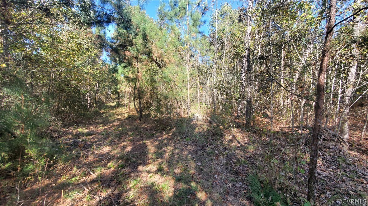 5-acres Wilson Road Blackstone, VA 23824 - Photo 3 of 9