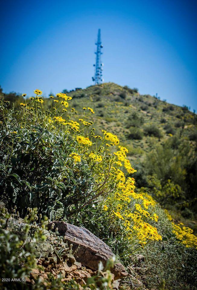 915 East Hearn Road Phoenix, AZ 85022 - Photo 24 of 26 Look Out Mtn Preserve 2