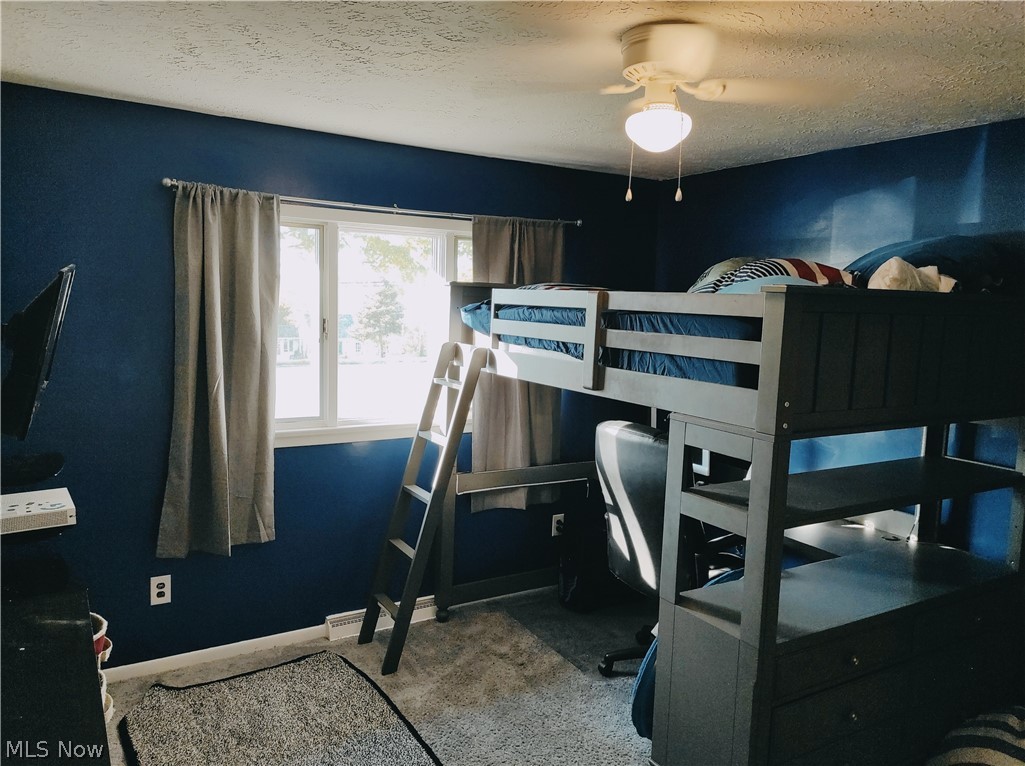 4120 North Ridge Road East Ashtabula, OH 44004 - Photo 11 of 18