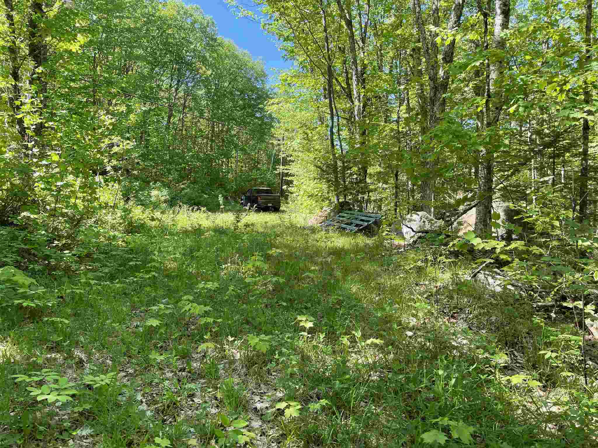 1237 WestSide Lake Road Maidstone, VT 05905 - Photo 11 of 11