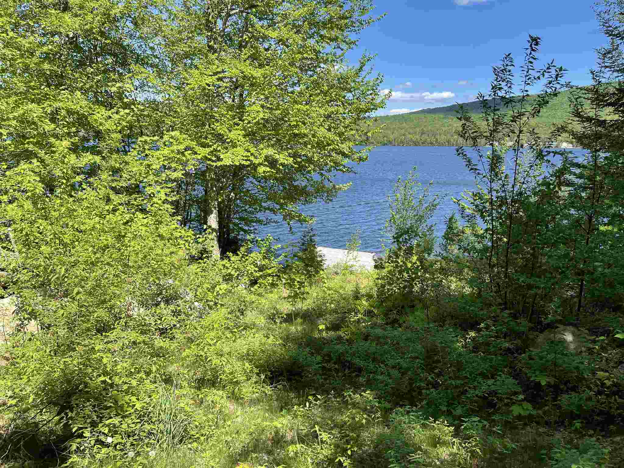 1237 WestSide Lake Road Maidstone, VT 05905 - Photo 3 of 11