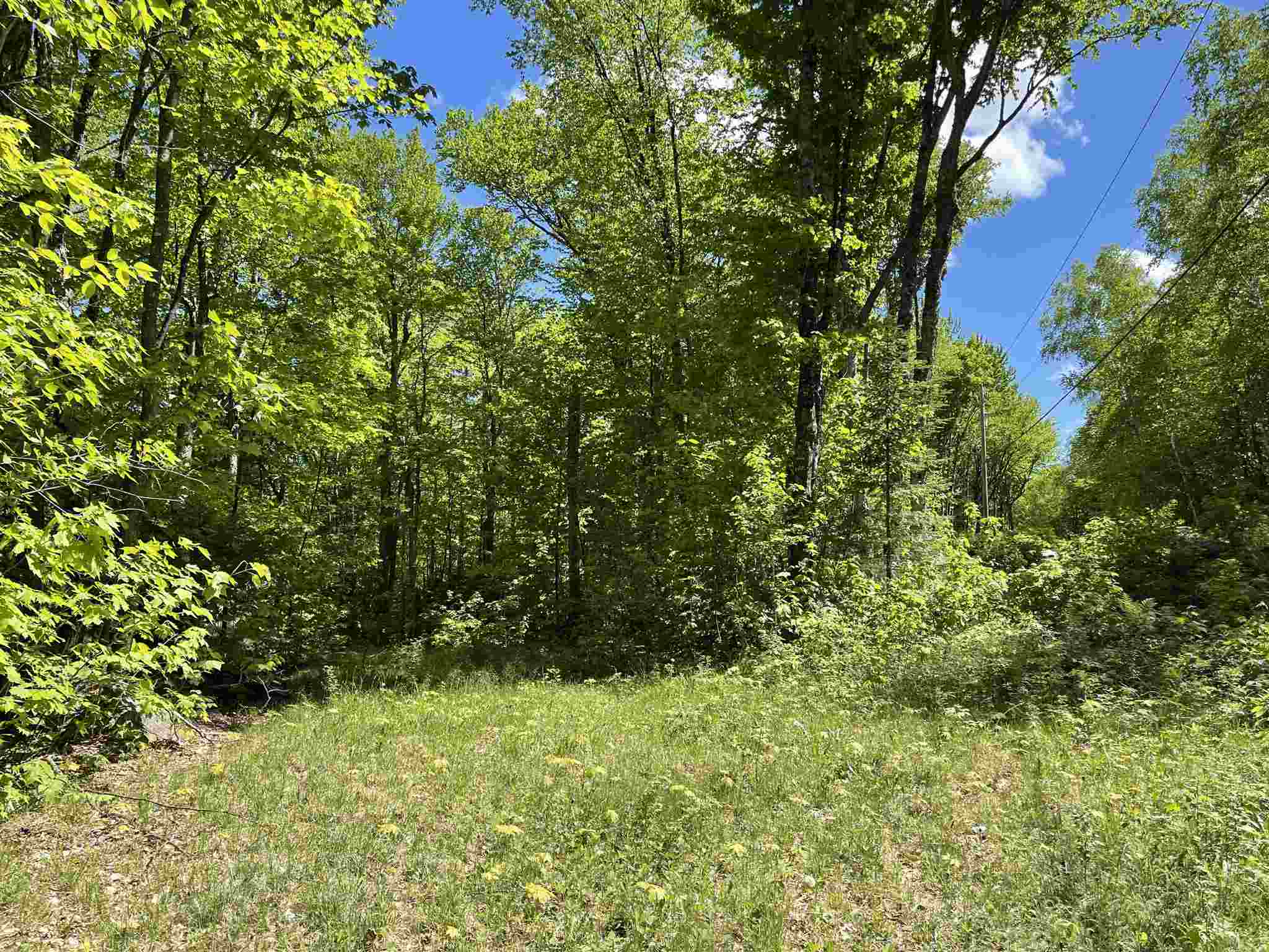 1237 WestSide Lake Road Maidstone, VT 05905 - Photo 6 of 11