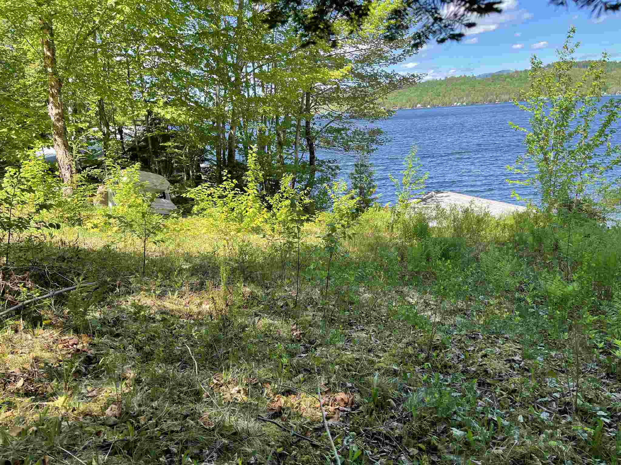 1237 WestSide Lake Road Maidstone, VT 05905 - Photo 8 of 11