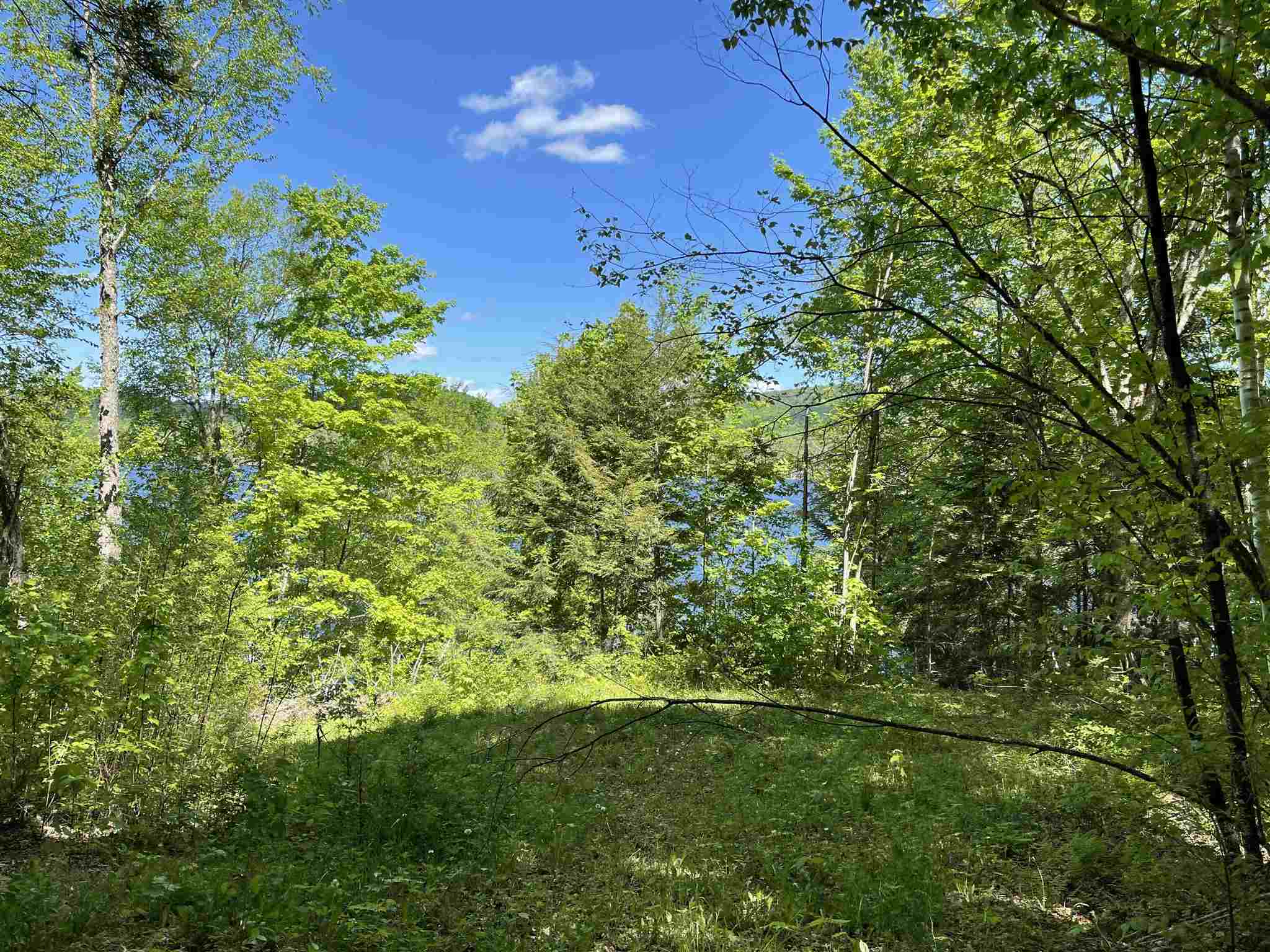 1237 WestSide Lake Road Maidstone, VT 05905 - Photo 9 of 11