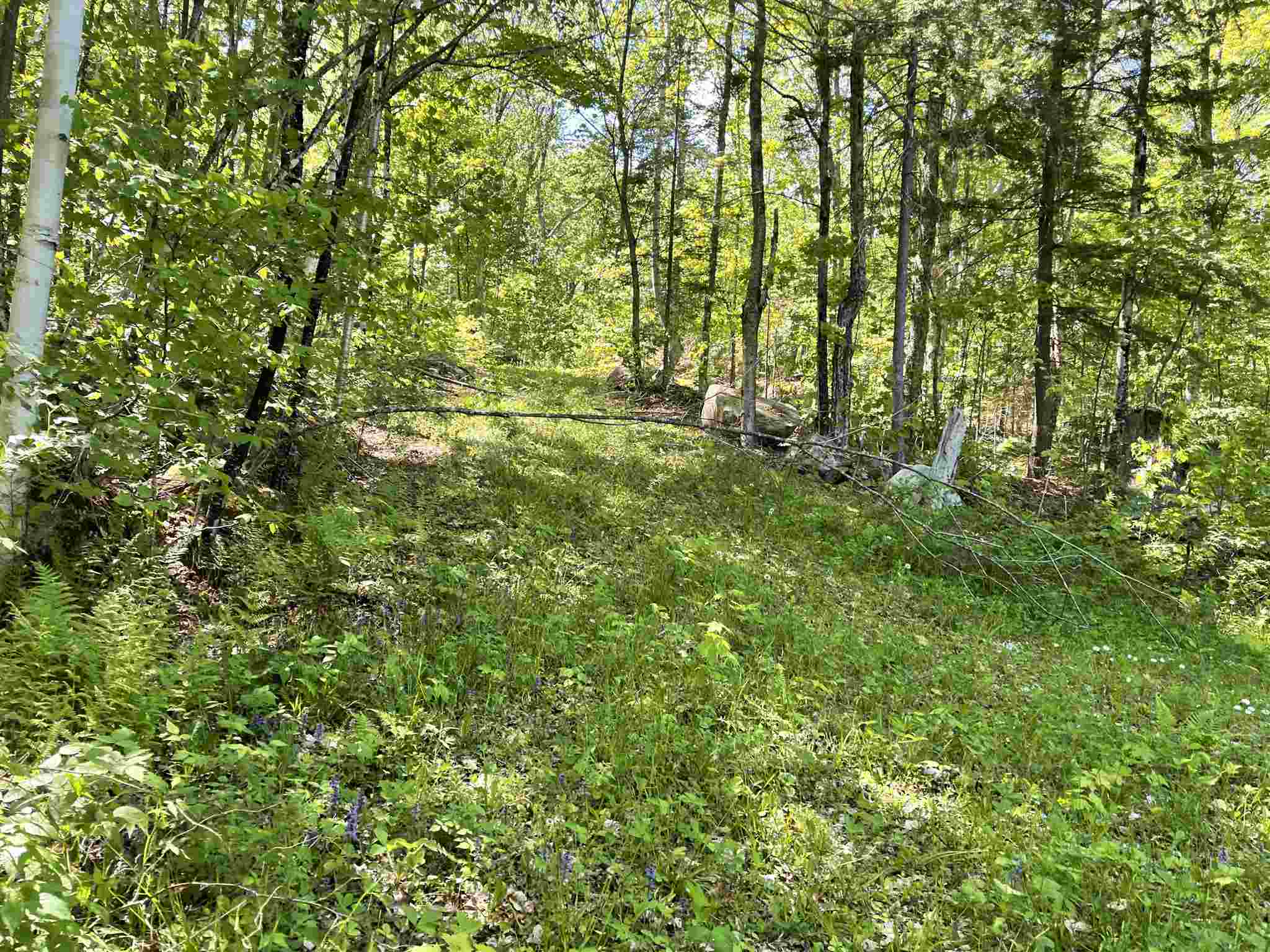 1237 WestSide Lake Road Maidstone, VT 05905 - Photo 10 of 11