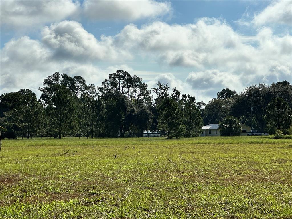 Ranch Gate Boulevard Umatilla, FL 32784 - Photo 13 of 33 a view of a swimming pool with a yard in back