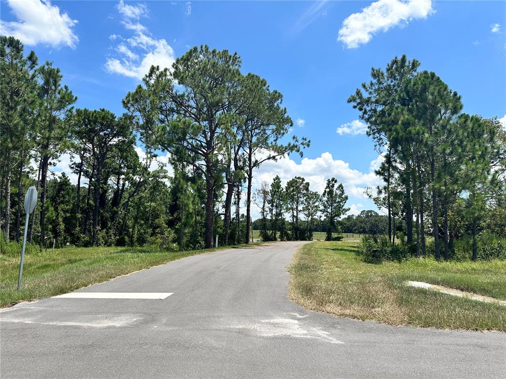 Ranch Gate Boulevard Umatilla, FL 32784 - Photo 16 of 33 a view of a park