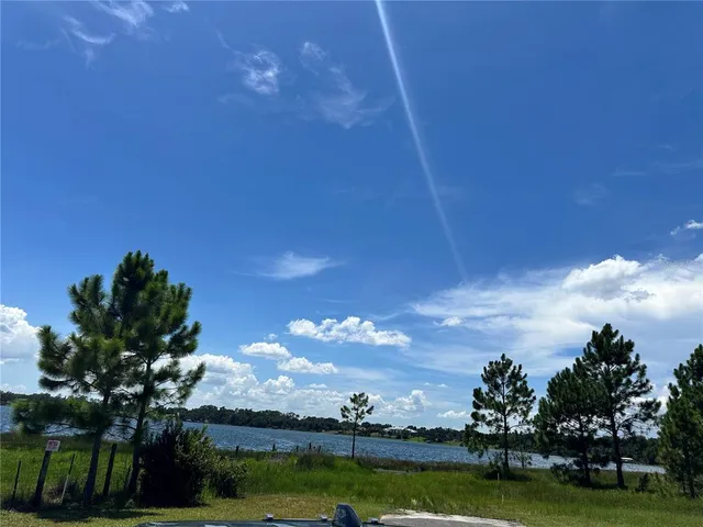 a view of a big yard with large trees