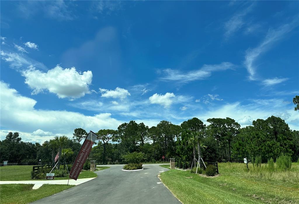 Ranch Gate Boulevard Umatilla, FL 32784 - Photo 29 of 33 a view of a big yard with large trees