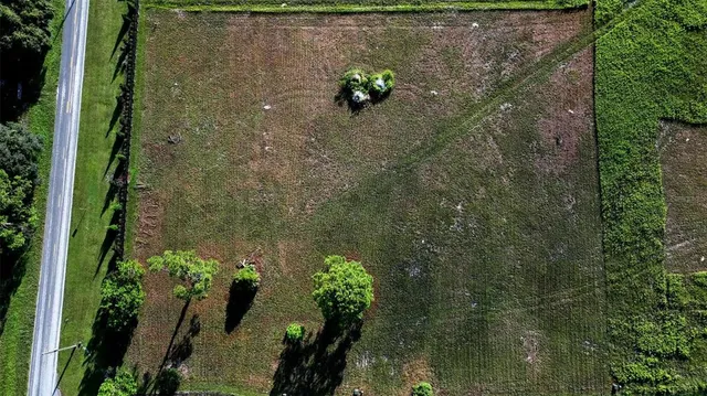 a view of a lake with a park