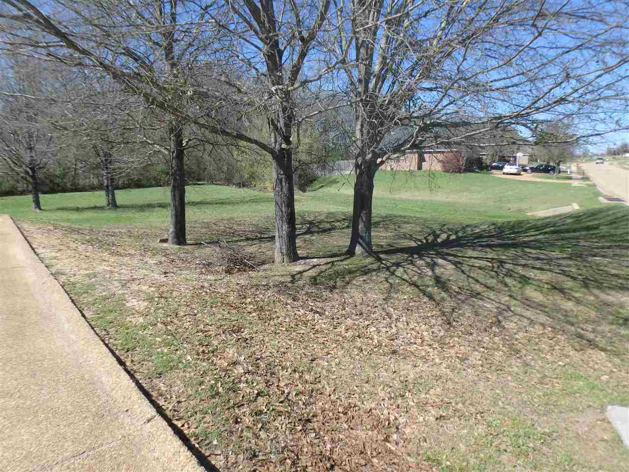105 Ridgefield Drive Madison, MS 39110 - Photo 30 of 31 Photo 30