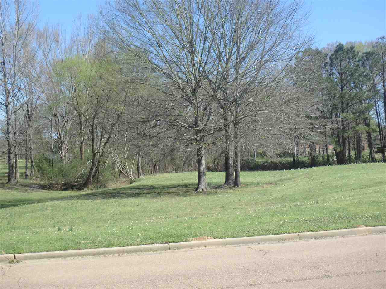 105 Ridgefield Drive Madison, MS 39110 - Photo 31 of 31 Photo 31