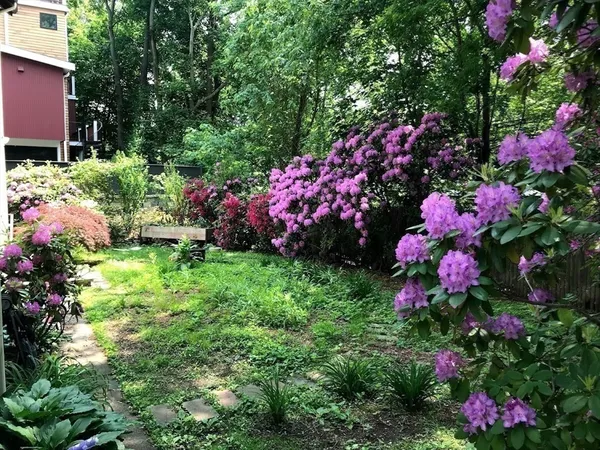 $4,875 | 28 Beaconsfield Road, Unit 1, Brookline, MA 02445