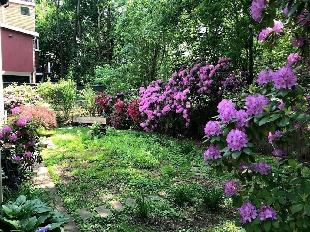 28 Beaconsfield Road, Unit 1 Brookline, MA 02445 - Photo 19 of 20