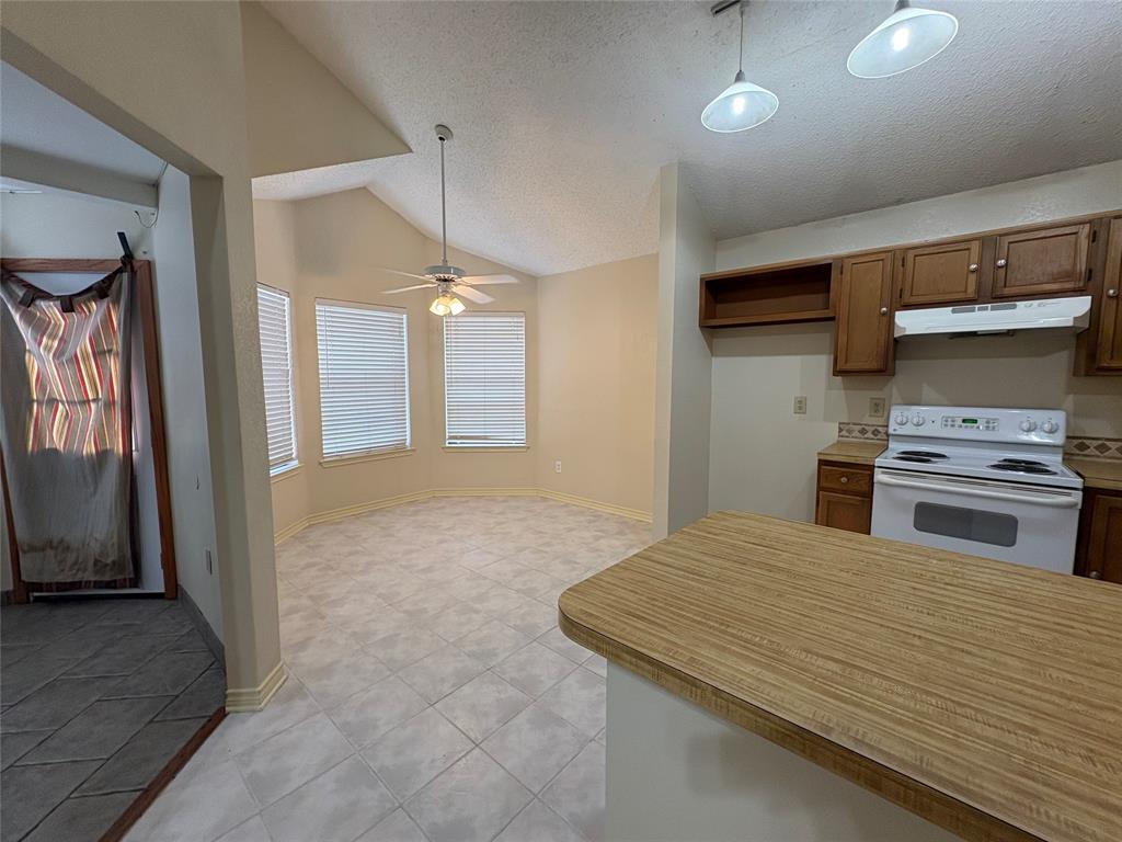 603 Turner Way Cedar Hill, TX 75104 - Photo 7 of 21