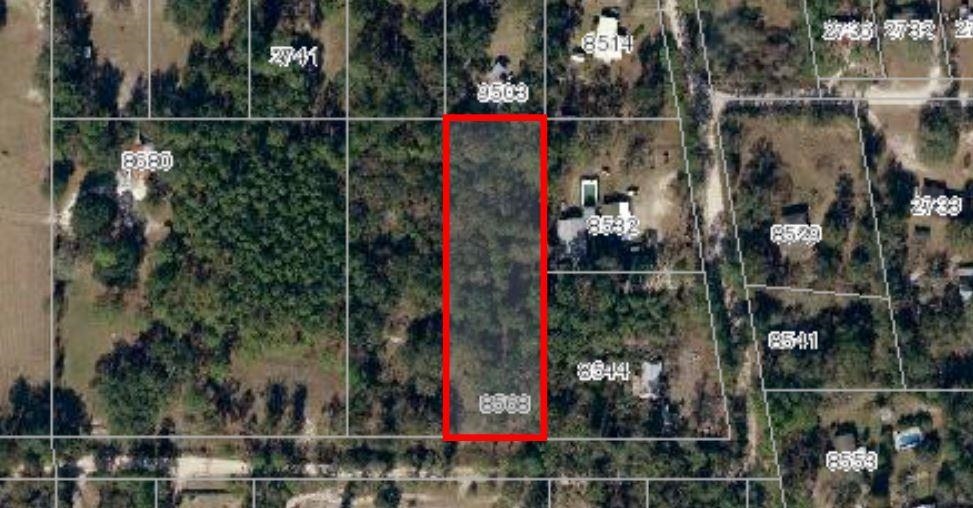 8568 Wide Road Tallahassee, FL 32305 - Photo 5 of 8 Gallery Image 5