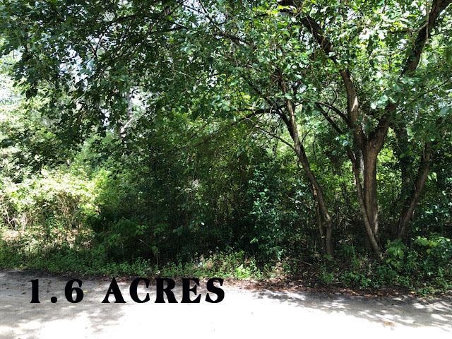 8568 Wide Road Tallahassee, FL 32305 - Photo 8 of 8 Gallery Image 8
