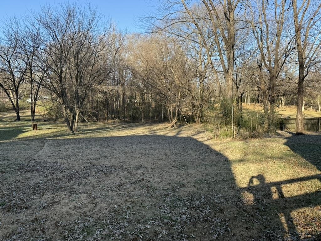 994 Hale Road Memphis, TN 38116 - Photo 23 of 24 View of yard