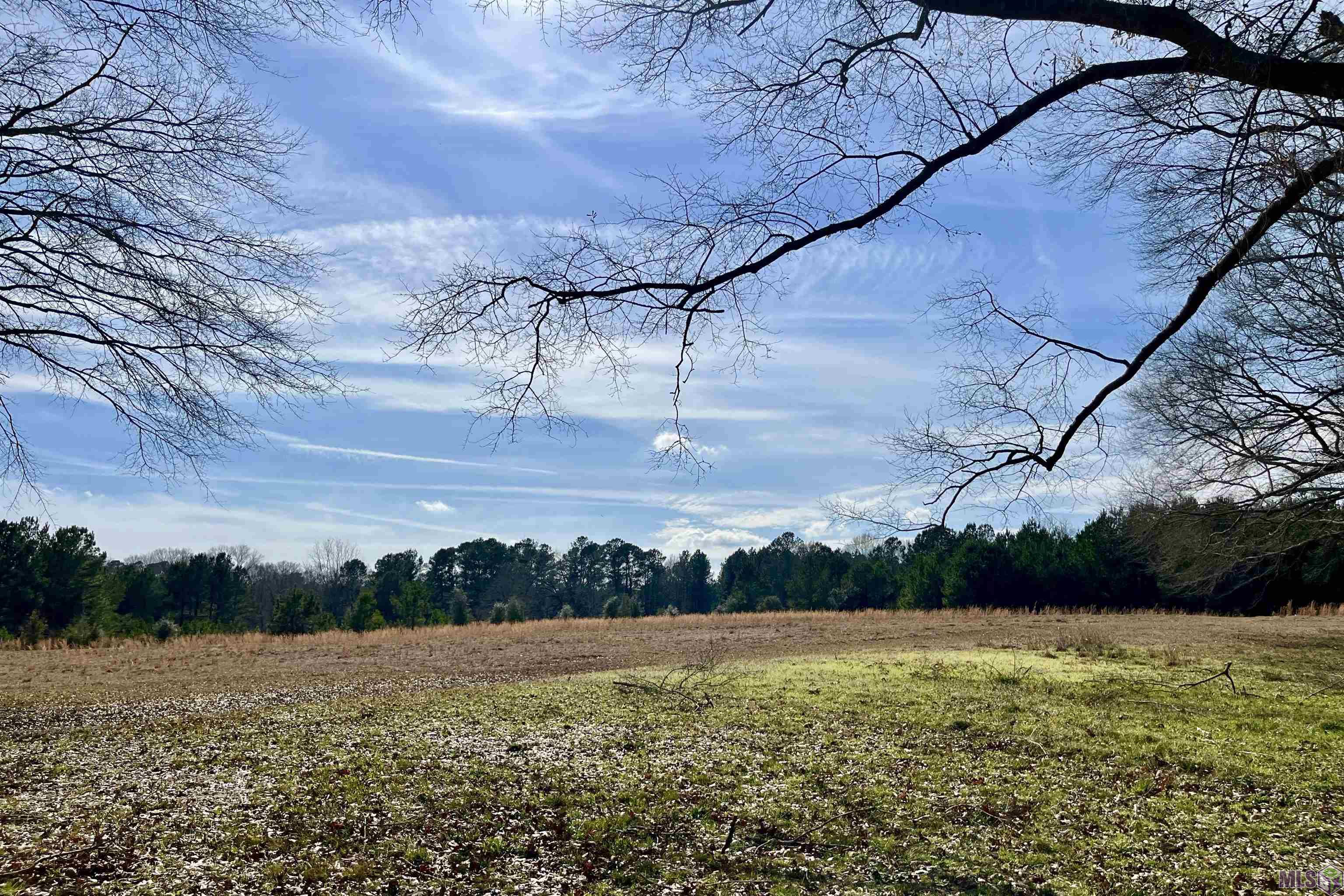 312 Rushingtown Road Tylertown, MS 39667 - Photo 13 of 51