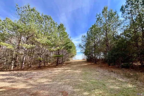 $664,900 | 312 Rushingtown Road, Tylertown, MS 39667