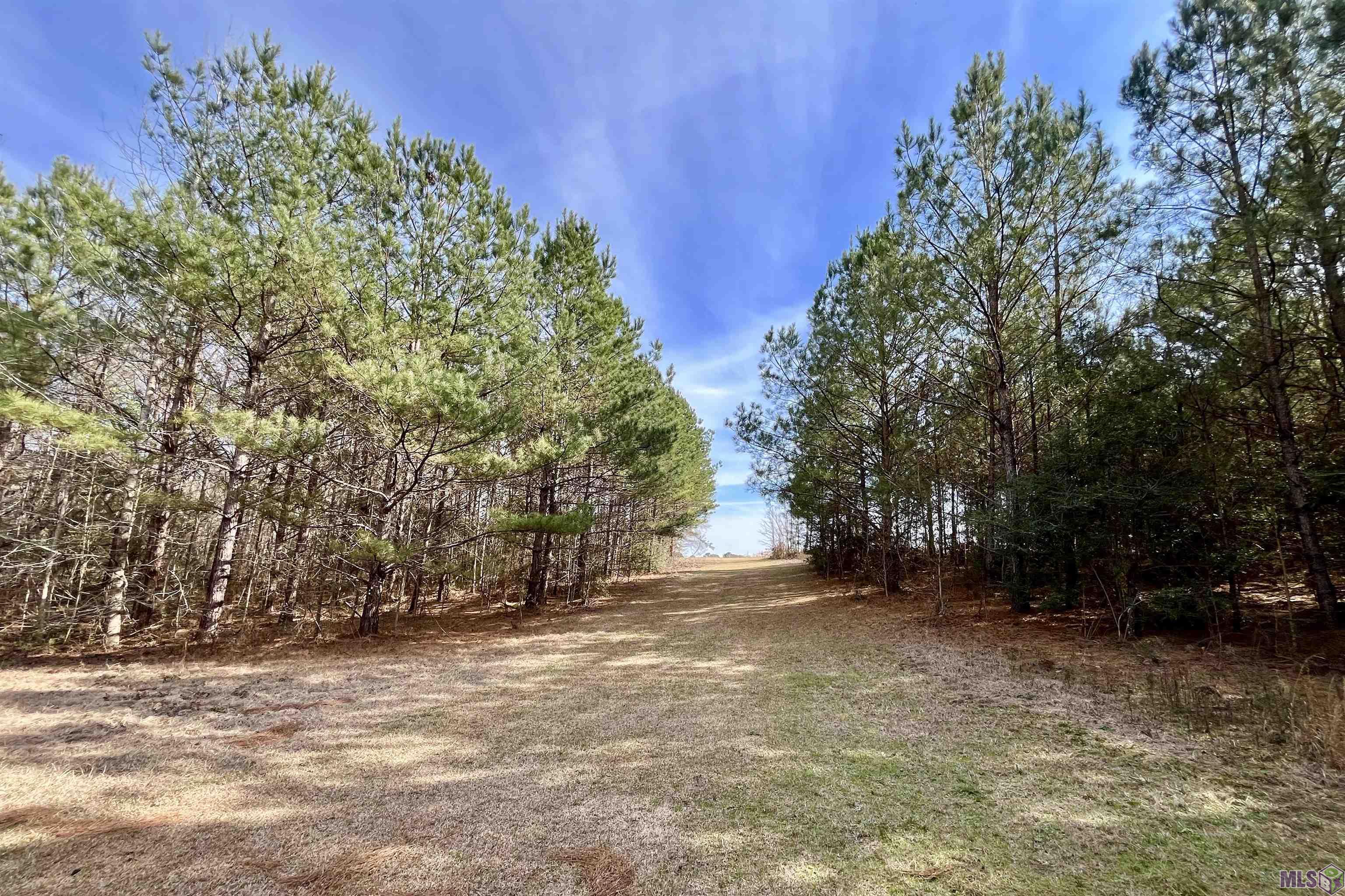 312 Rushingtown Road Tylertown, MS 39667 - Photo 14 of 51
