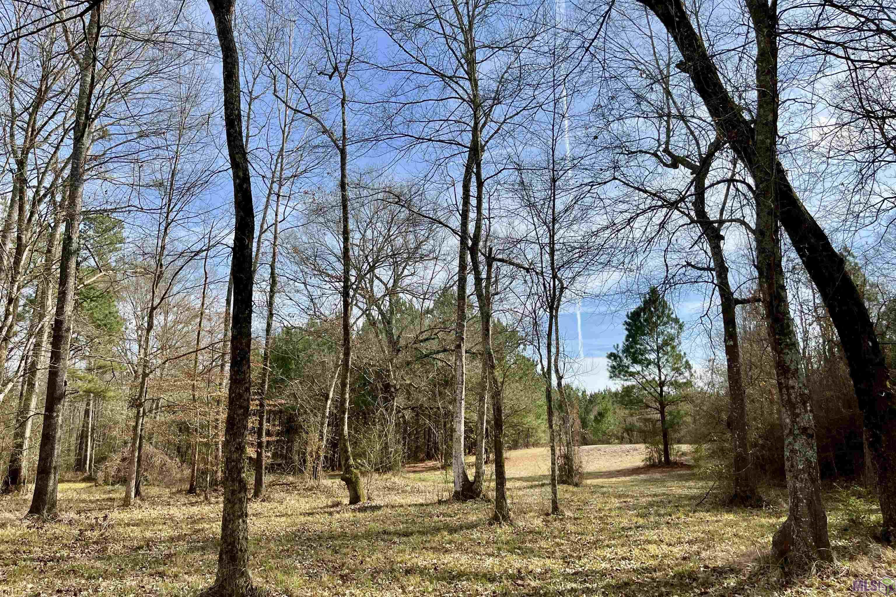312 Rushingtown Road Tylertown, MS 39667 - Photo 16 of 51