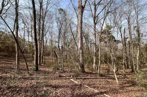 $664,900 | 312 Rushingtown Road, Tylertown, MS 39667