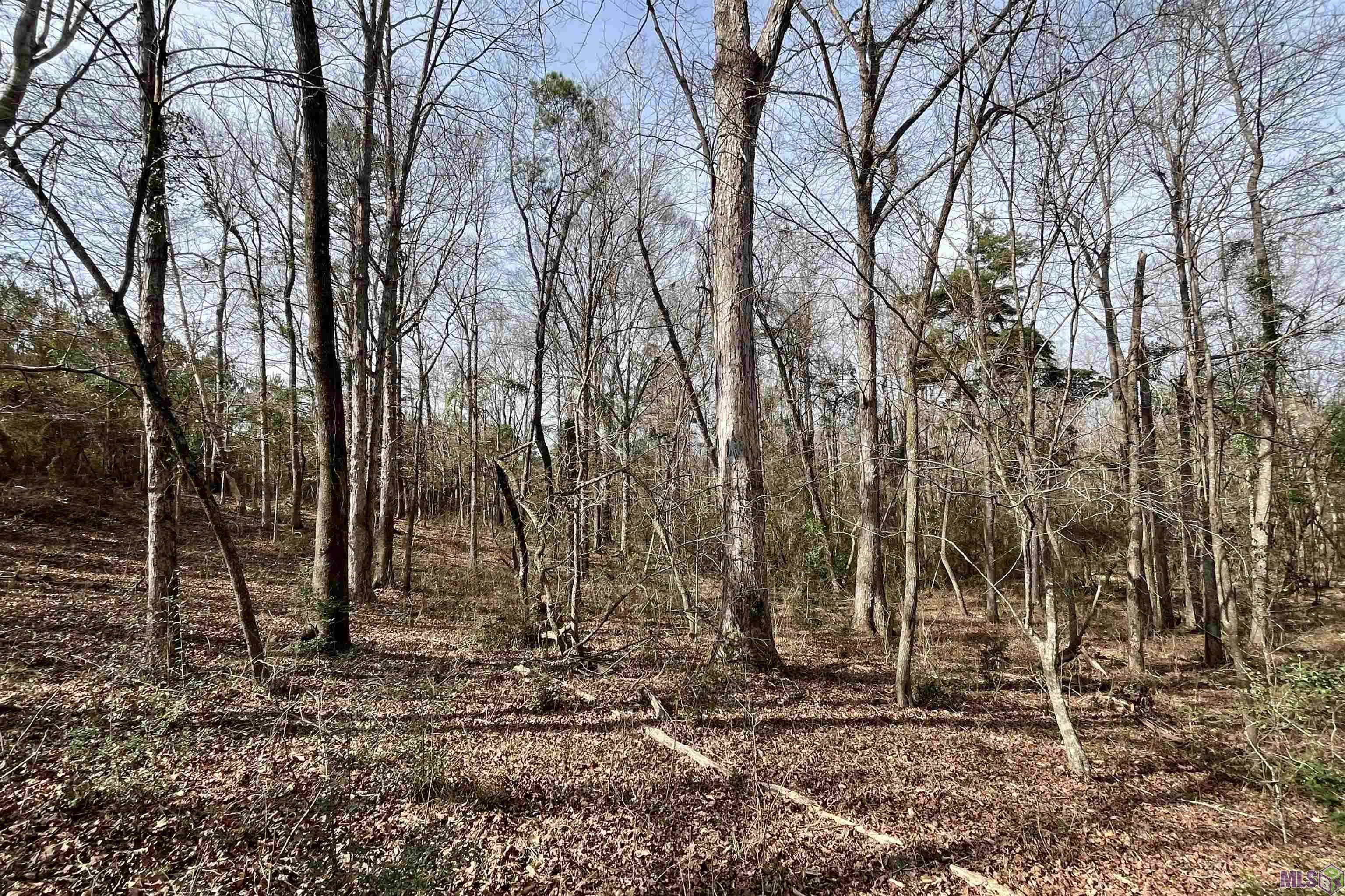 312 Rushingtown Road Tylertown, MS 39667 - Photo 17 of 51