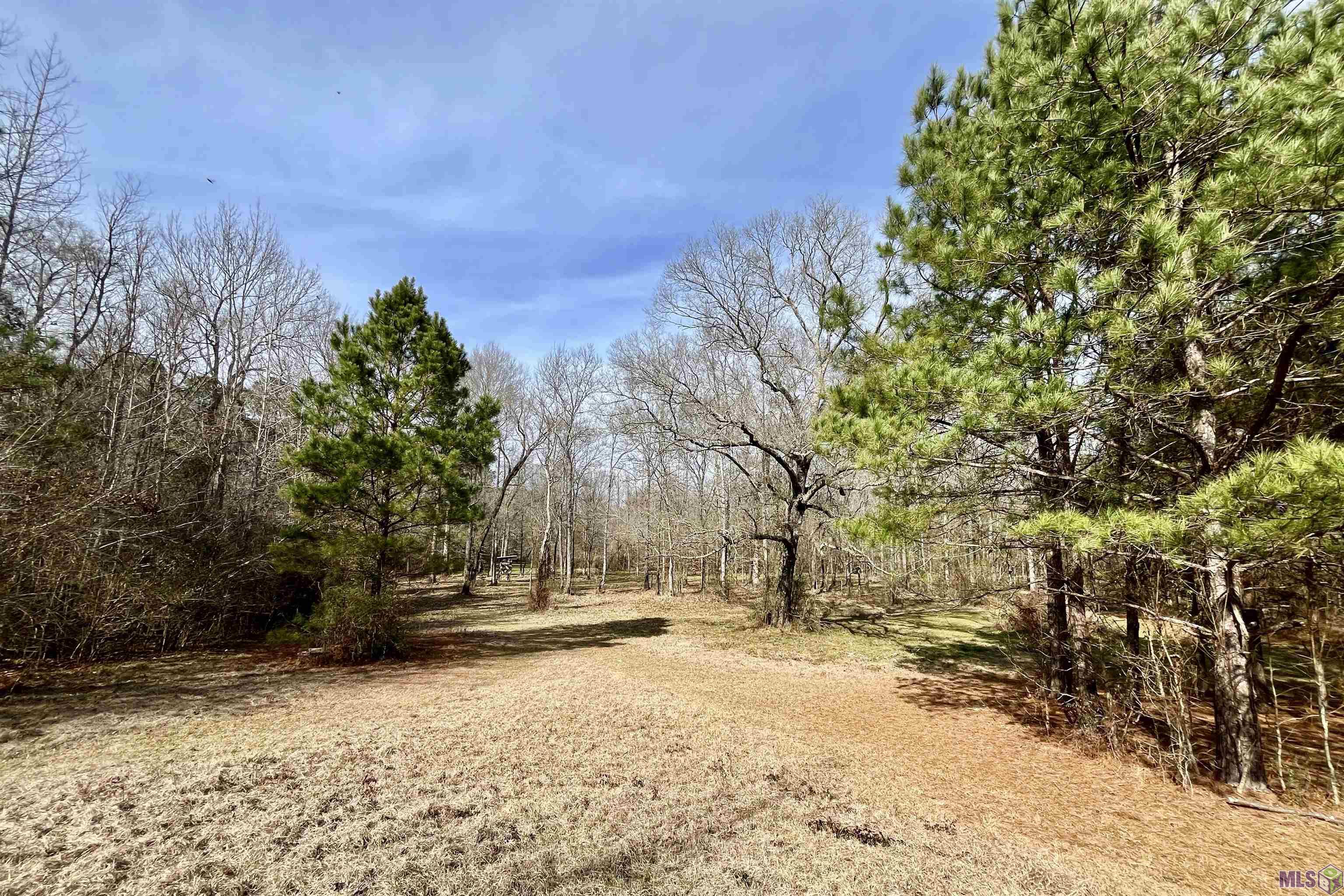 312 Rushingtown Road Tylertown, MS 39667 - Photo 18 of 51