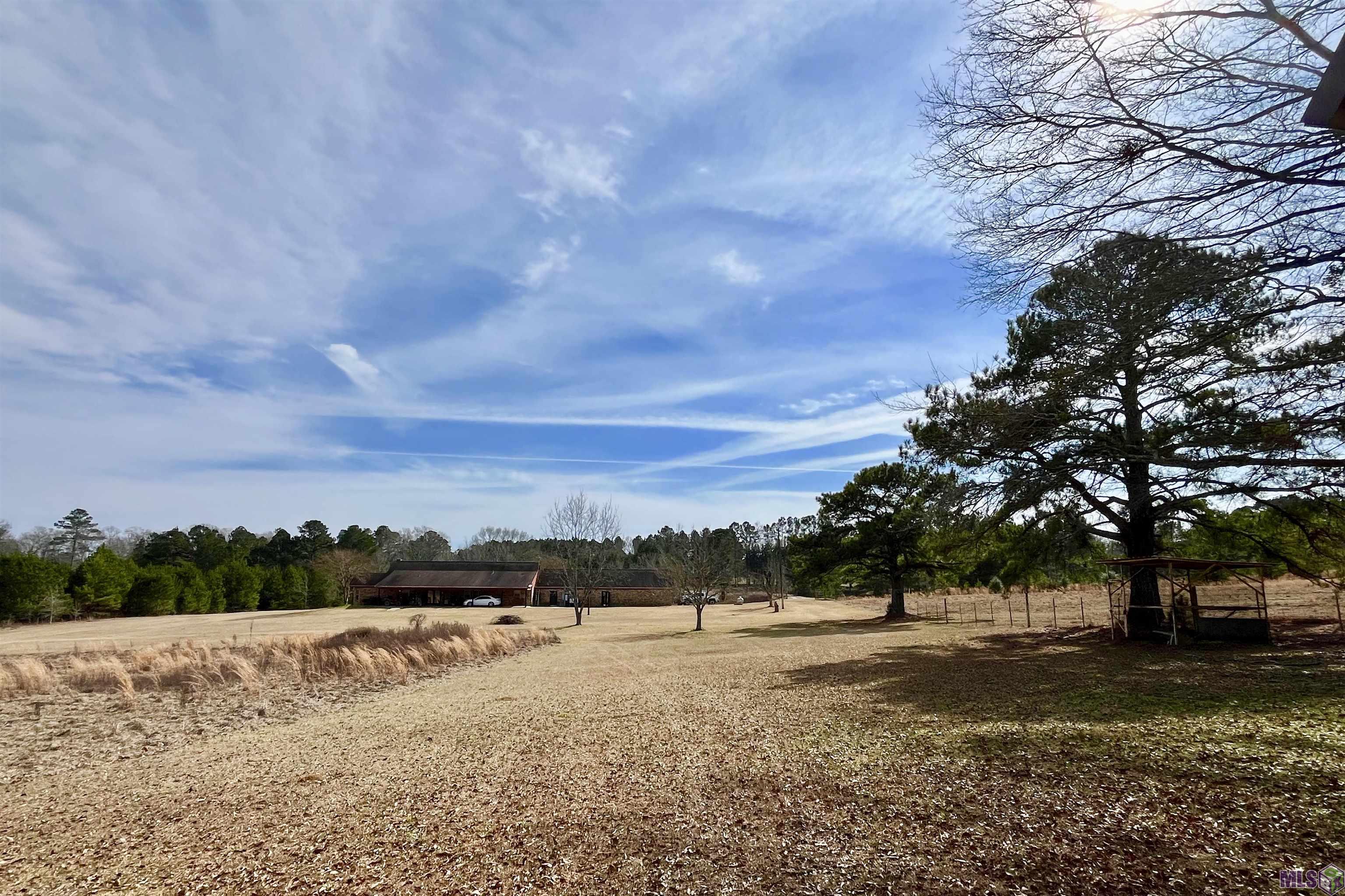 312 Rushingtown Road Tylertown, MS 39667 - Photo 19 of 51