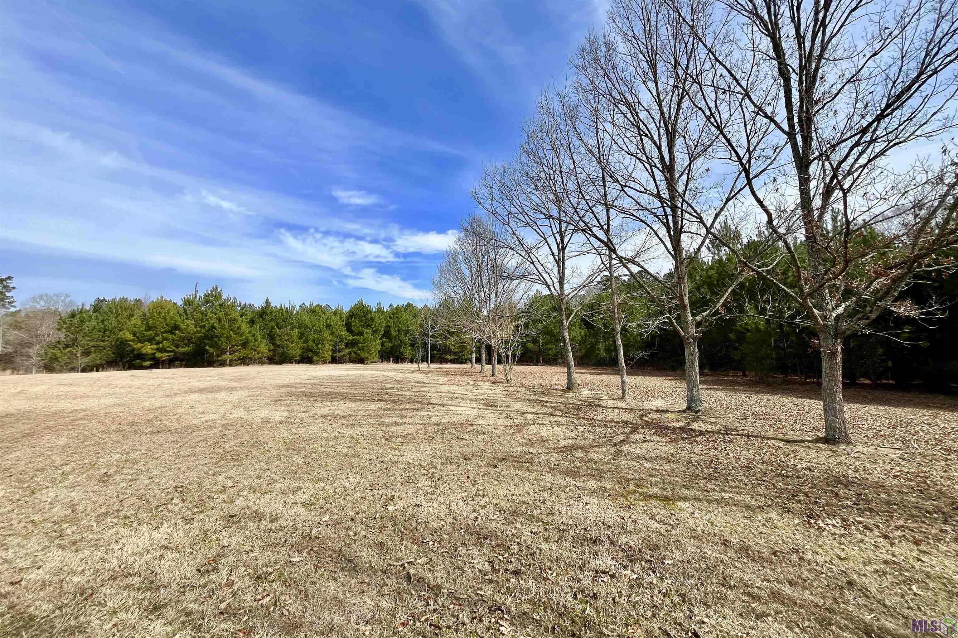 312 Rushingtown Road Tylertown, MS 39667 - Photo 36 of 51