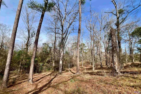 $664,900 | 312 Rushingtown Road, Tylertown, MS 39667