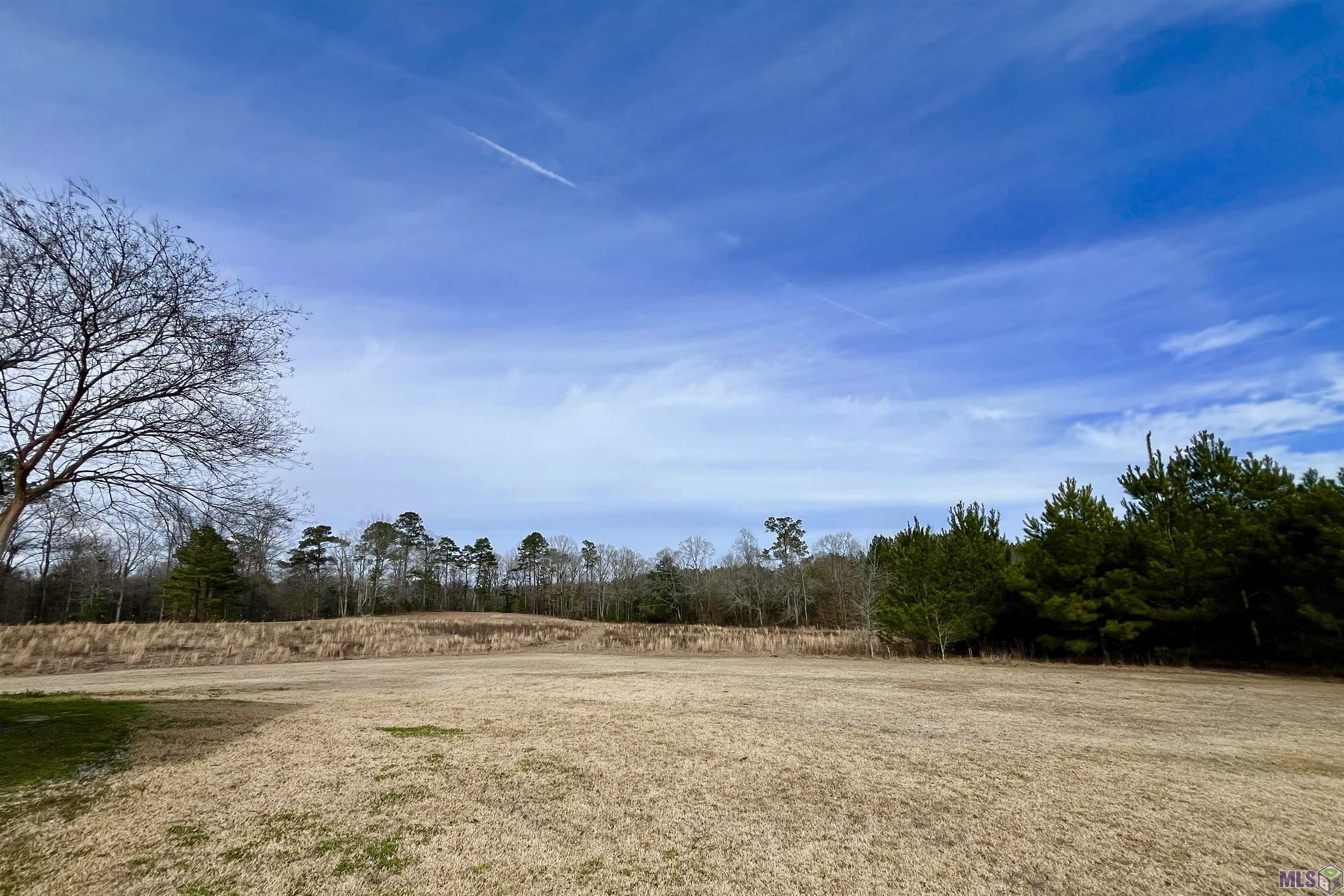 312 Rushingtown Road Tylertown, MS 39667 - Photo 4 of 51