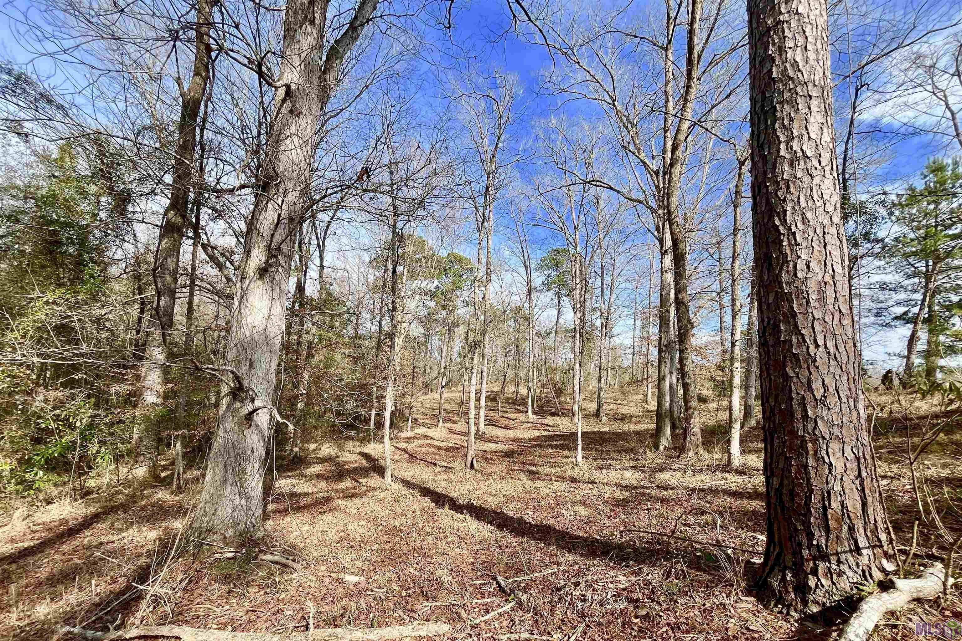 312 Rushingtown Road Tylertown, MS 39667 - Photo 41 of 51