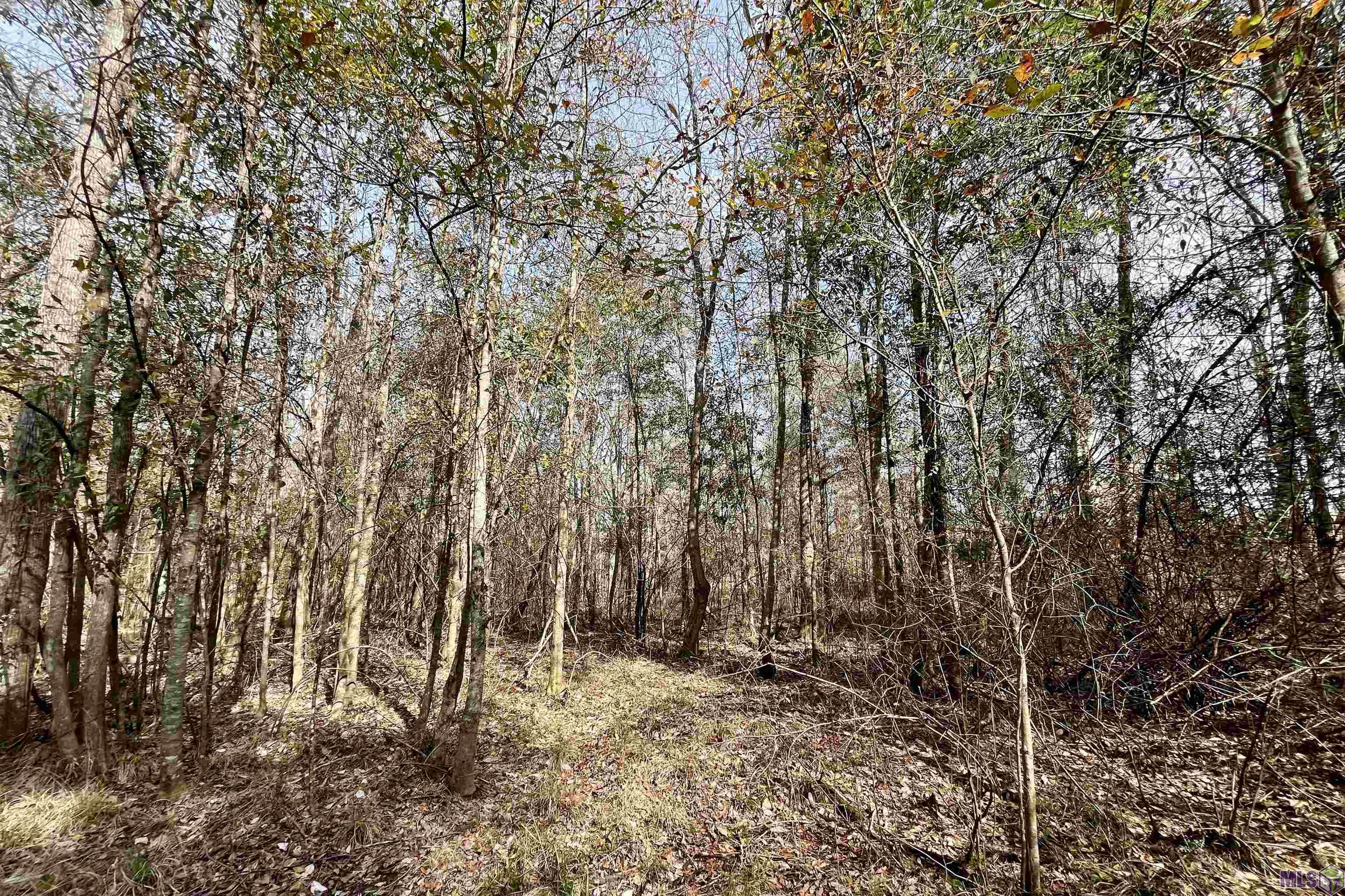 312 Rushingtown Road Tylertown, MS 39667 - Photo 42 of 51
