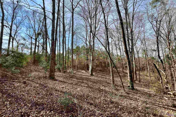 $664,900 | 312 Rushingtown Road, Tylertown, MS 39667