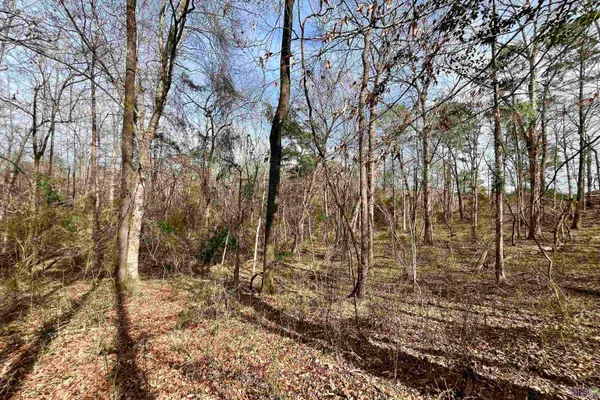 $664,900 | 312 Rushingtown Road, Tylertown, MS 39667
