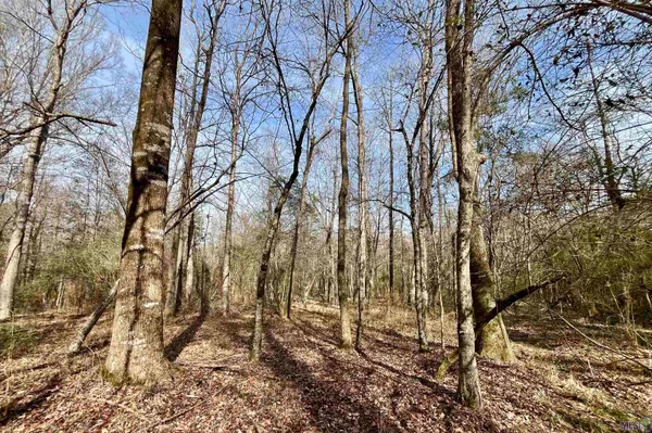 $664,900 | 312 Rushingtown Road, Tylertown, MS 39667