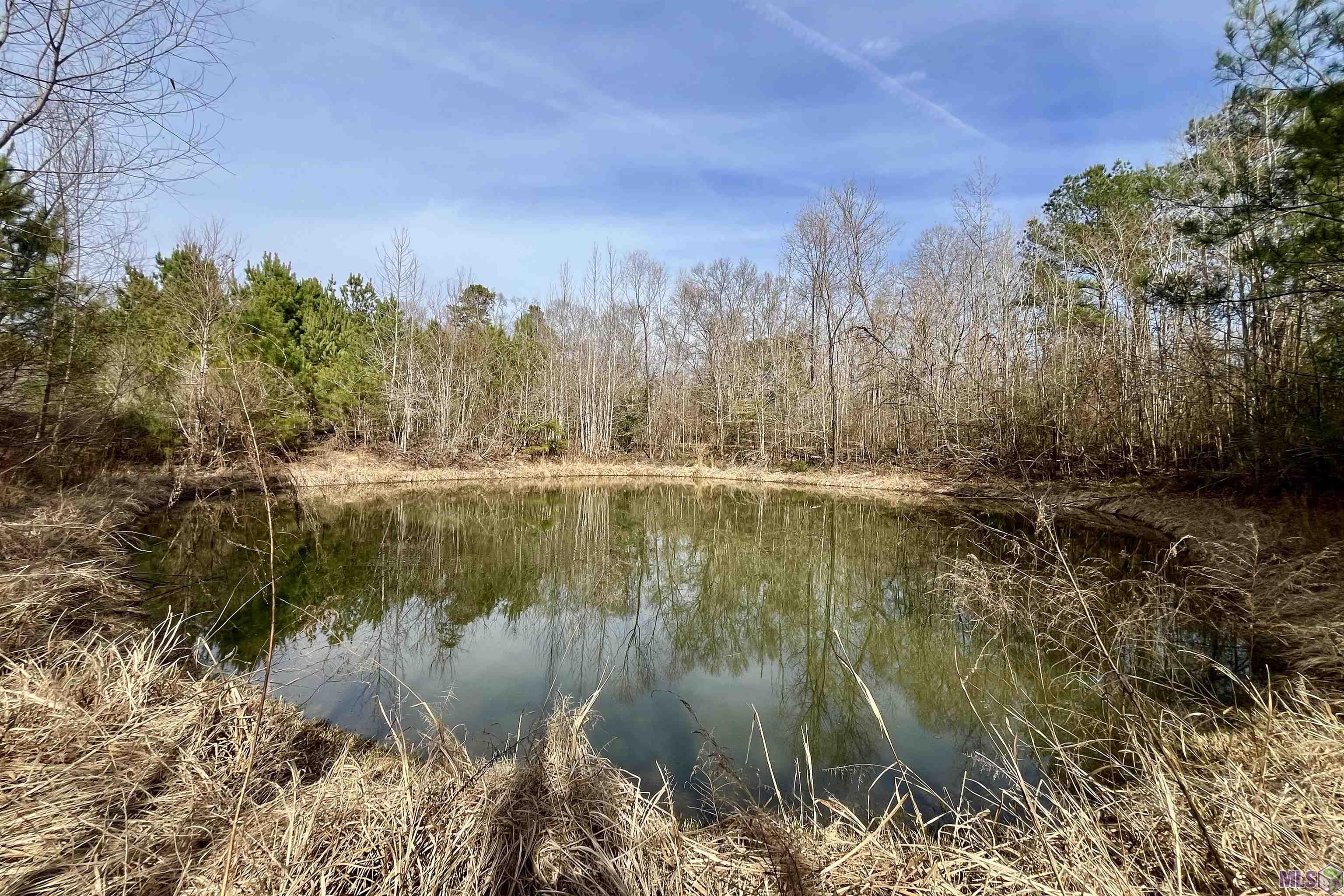 312 Rushingtown Road Tylertown, MS 39667 - Photo 47 of 51