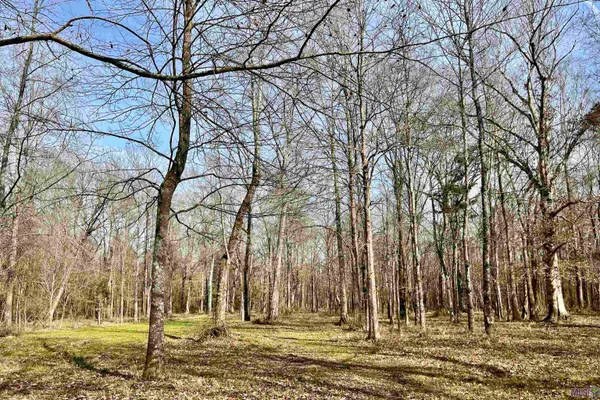 $664,900 | 312 Rushingtown Road, Tylertown, MS 39667