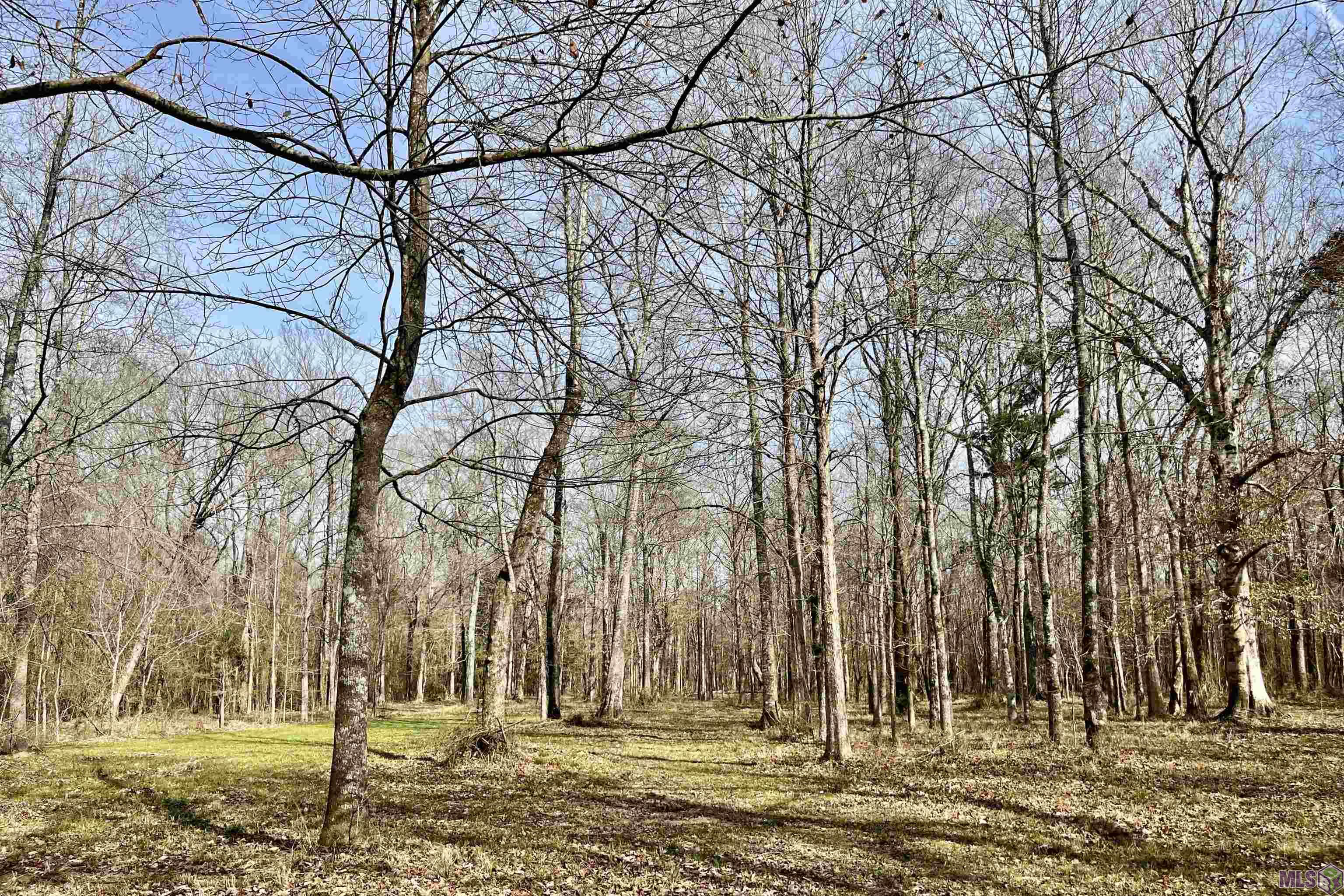 312 Rushingtown Road Tylertown, MS 39667 - Photo 48 of 51