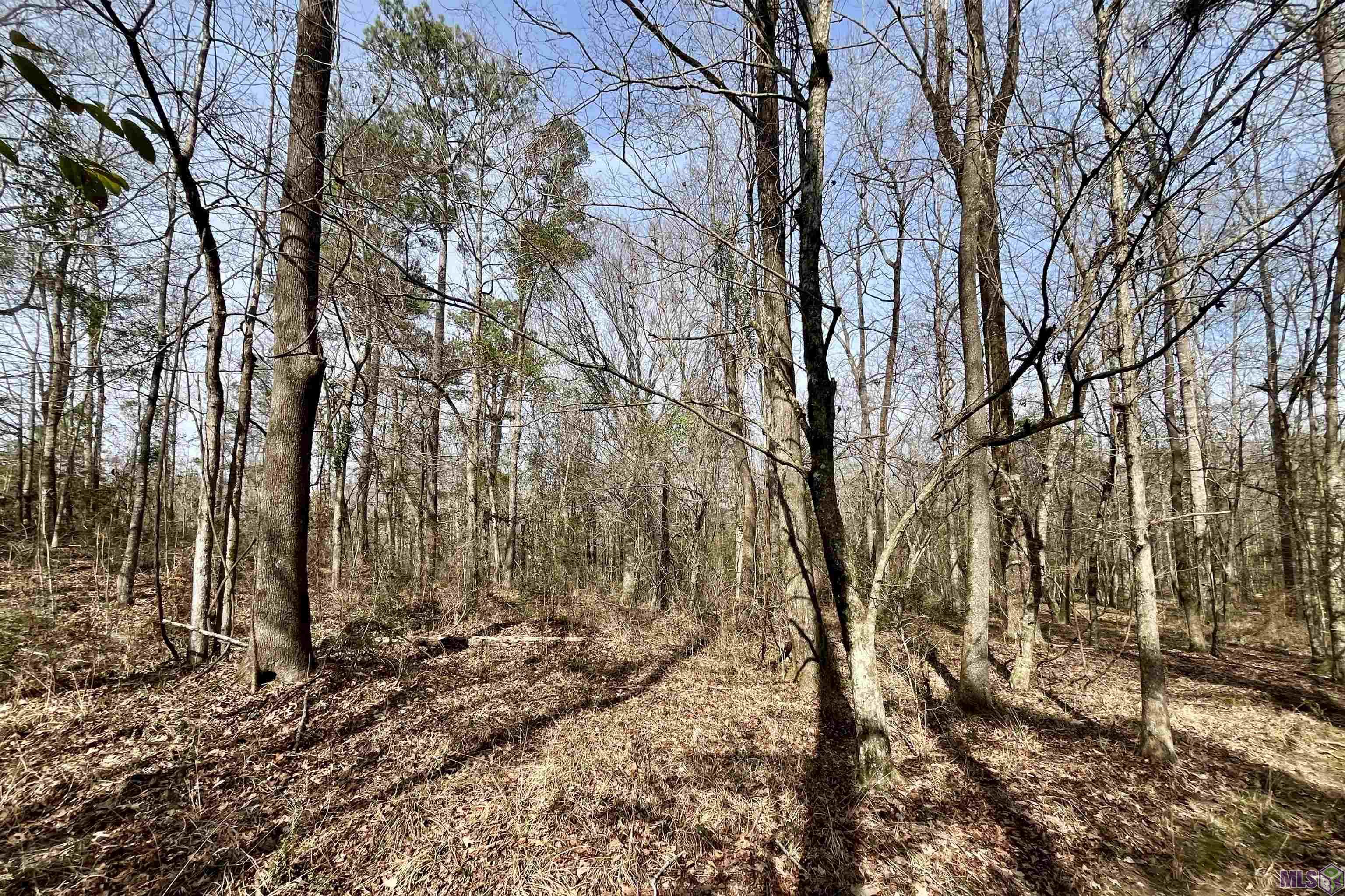 312 Rushingtown Road Tylertown, MS 39667 - Photo 49 of 51
