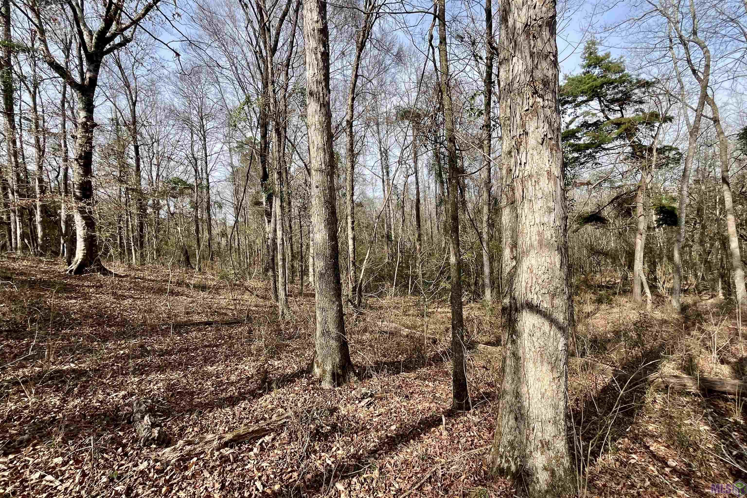 312 Rushingtown Road Tylertown, MS 39667 - Photo 6 of 51