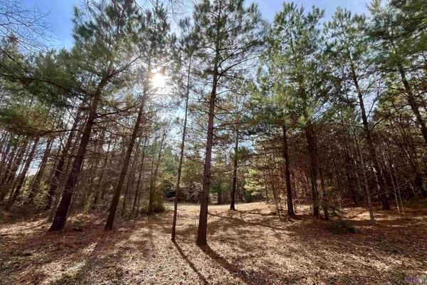 $664,900 | 312 Rushingtown Road, Tylertown, MS 39667