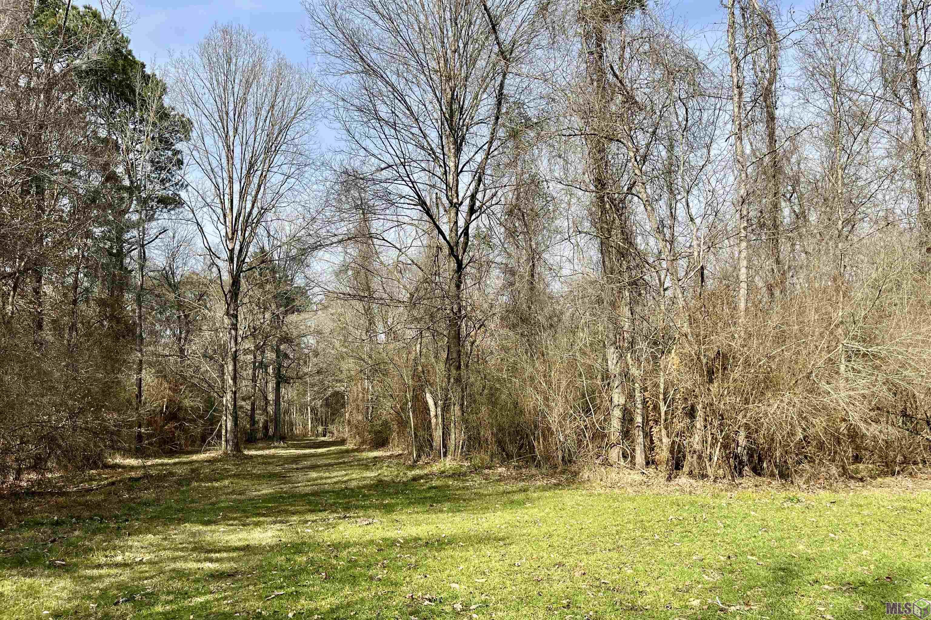312 Rushingtown Road Tylertown, MS 39667 - Photo 9 of 51