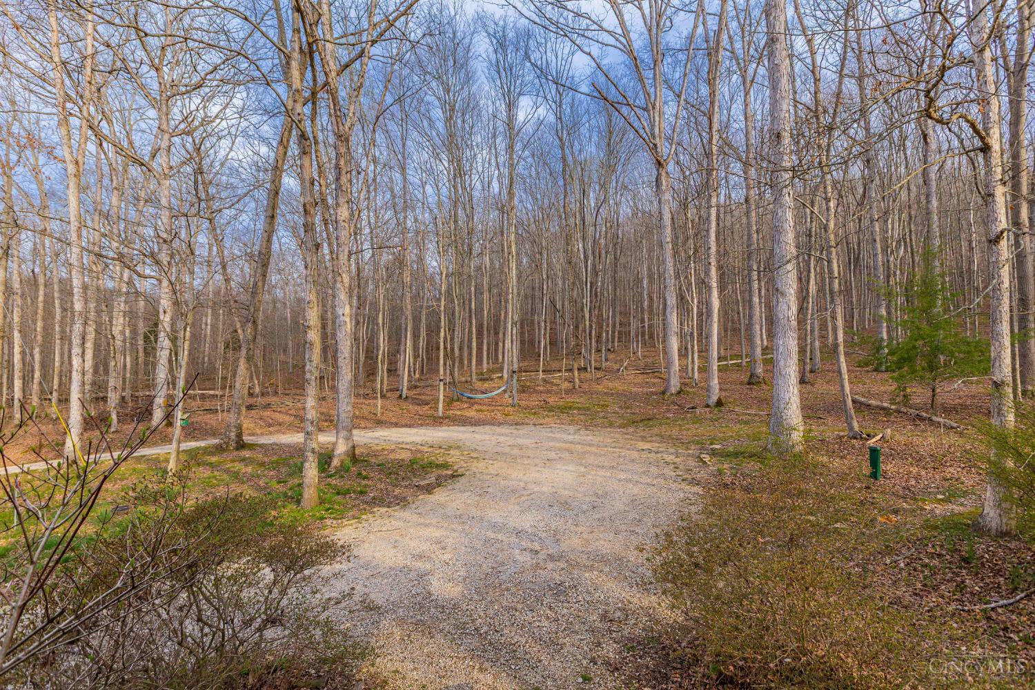 1620 Coffee Hollow Road Peebles, OH 45660 - Photo 16 of 68